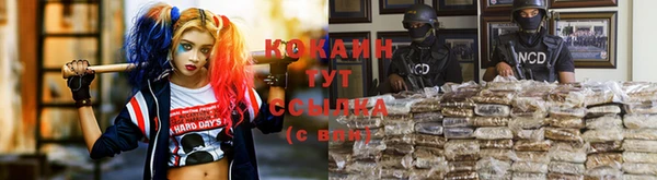 МДПВ Горняк