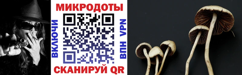 Галлюциногенные грибы GOLDEN TEACHER  Купить закладки  Лениногорск 